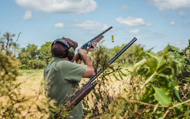 A wingshooter takes aim in the Córdoba countryside