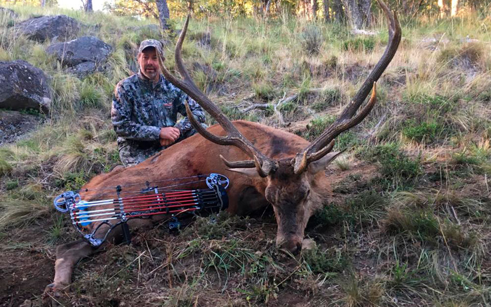 Red stag hunting in Patagonia